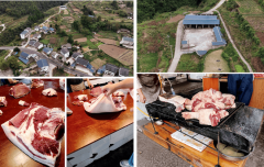 <b>城市市场里见到的猪肉一个较着分歧是</b>